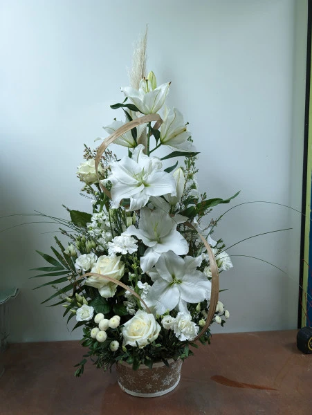 PXL_20231230_182209860